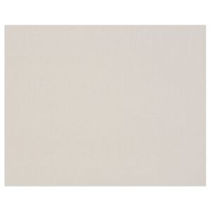 Clairefontaine Carton Gris 3,0mm 1F 60x80cm 1920g - Gris - Lot de 5 - Publicité