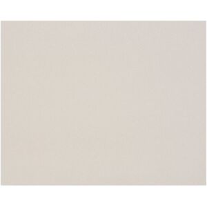 Clairefontaine Carton Gris 3,0mm 1F 80x120cm 1920g - Gris - Lot de 5 - Publicité