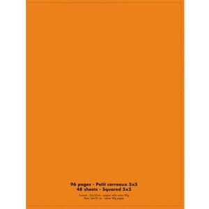 Packdiscount NEUTRE Cahier piqûre 24x32 96 pages petits carreaux 90g. Couverture polypro orange - Publicité