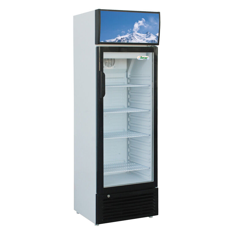 FORCAR Armadio Refrigerato Statico SNACK251 Porta Singola Vetro - 244 Lt