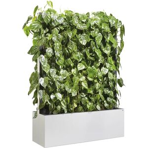 C+P Mobiles Heckenelement mit Philodendron, Pflanzenwand weiß, akustisch wirksam, HxBxT 1635 x 1200 x 400 mm