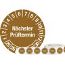 Prüfplakette (Nächster Prüftermin) - kaiserkraft