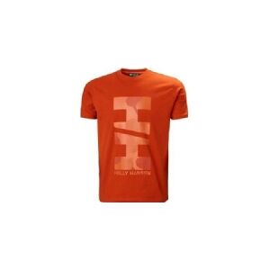 Helly Hansen Move T-shirt til mænd i bomuld 53976_308 r. S orange