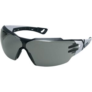 Uvex Lunettes de protection Uvex Pheos CX2, gris