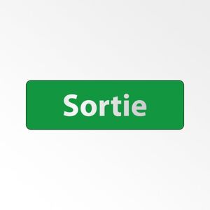 Panneau Signalétique - Sortie - 250 x 80 - Argent - Lot de 2 Argent