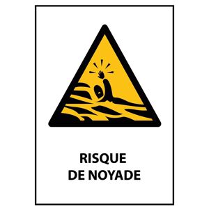 Panneau - Risque De Noyade - 210 x 297 - PVC - Lot de 3