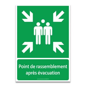 Panneaux Nf En Iso 7010 - Point De Rassemblement Après Évacuation - E007 - 210 x 297 - PVC - Lot de 2