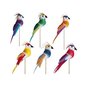 MONDO DECO Deco Perroquets Houpette Plume Les Oiseaux Coloris Aléatoires Hauteur : 10 cm x 240 Mondo Déco