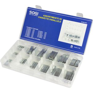 ASSORTIMENTO SET SERIE DI 60 CHIAVETTE PARALLELE SOGI AS-60-CHV