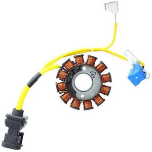 ElectroSport dynamo stator ESG194