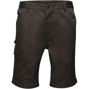 Regatta TRJ389 Pro Cargo Shorts