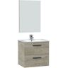 HOMN Mueble de baño suspendido 2 cajones, espejo y con lavabo, 60 cm