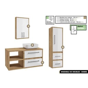 OTITEC Ensemble complet - de salle de bain - Meuble - Armoire - Colonne - Vasque avec Siphon OFFERT  EMBRE  Blanc  100 x 50 x 45 cm - Publicité