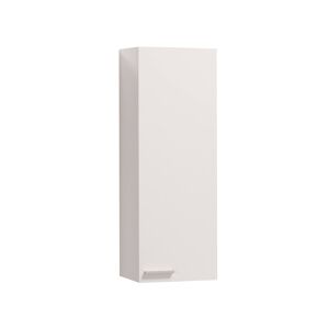 Dmora Colonne de salle de bain 1 porte effet bois blanc brillant Blanc 30x85x25cm