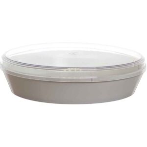 poloplast contenitore torta gelato con coperchio trasparente basso 16 porzioni