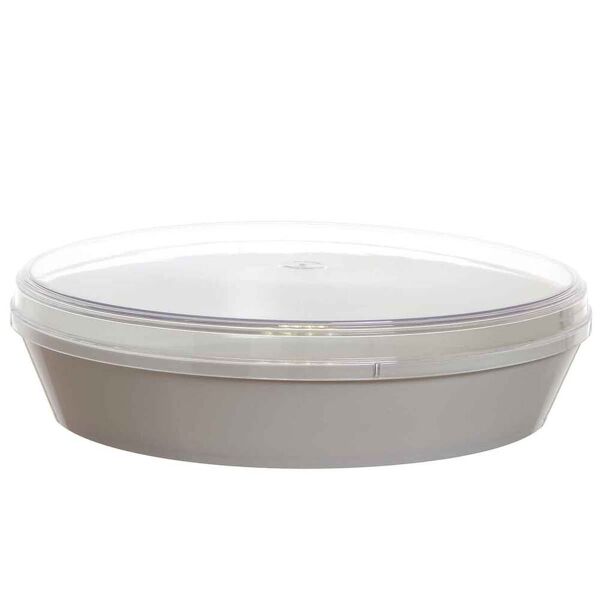 poloplast contenitore torta gelato con coperchio trasparente basso 16 porzioni
