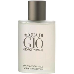 Giorgio Armani Acqua di Giò Homme After Shave Lotion 100 ml