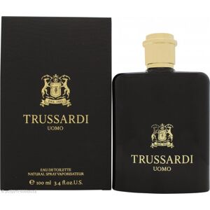 Trussardi Uomo 2011 Eau de Toilette 100ml Suihke