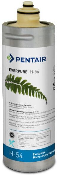 Everpure Pentair Filtro Everpure H54 973006