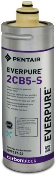 Everpure Pentair Filtro Everpure 2CB5 S EV9617-22