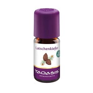 Taoasis Latschenkieferöl Bio 5 Milliliter