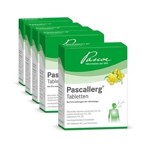 Pascoe pharmazeutische Präparate GmbH PASCALLERG Tabletten 500 Stück