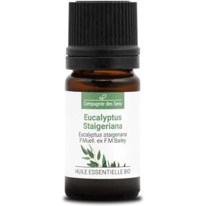 La Compagnie des Sens Eucalyptus staigeriana - huile essentielle bio 5ml