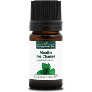 Menthe des champs - huile essentielle bio 5ml