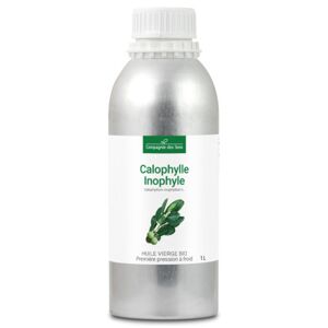 La Compagnie des Sens Calophylle inophyle - huile vegetale vierge bio - flacon en verre 1l alu