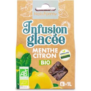 Nat & Form Tisane glacee menthe citron bio - sachets 6 sachets