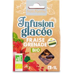 Nat & Form Tisane glacee fraise grenade bio - sachets 6 sachets