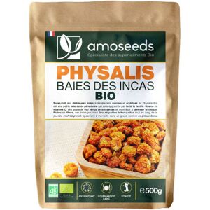 Amoseeds Physalis bio (baies des incas) - fruits secs 500g