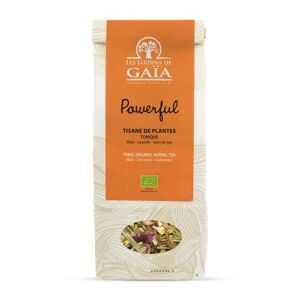 Les Jardins de Gaïa Tisane bio powerful - mate, cannelle 100g