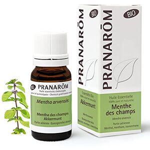 Pranarôm Menthe Des Champs Bio Huile Essentielle Chémotypée Digestion Pure Et Naturelle HECT 10 ml - Publicité