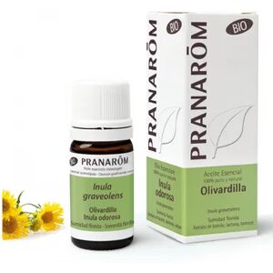 Pranarom Huile Essentielle Inule Odorante 5ml