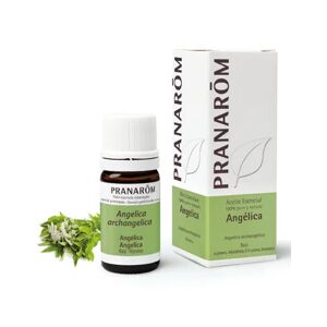 Pranarom Huile Essentielle Angelique 5ml