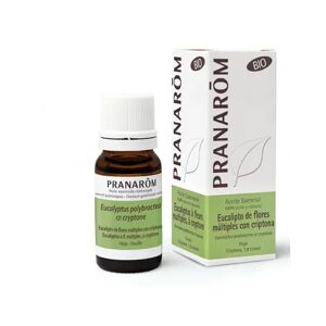 Pranarom Huile Essentielle Eucalyptus a Cryptone Bio 10ml