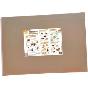 La Ruche des Abeilles® Kit de 5 posters pedagogiques