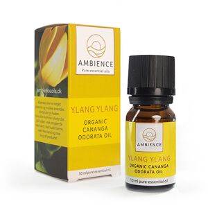 Ambience Ylang Ylang Olie, Øko - 10 ml