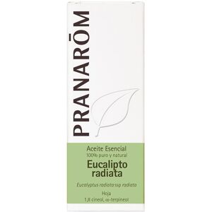 Pranarôm Essential Oil #eucalyptus radiata