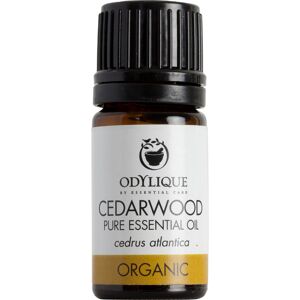 Odylique Organic Cedarwood Essential Oil - 5ml