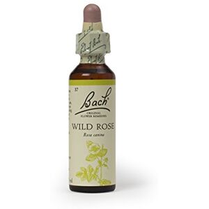 Bach Original Flower Remedies Wild Rose, Live The Day, Show Enthusiasm, Emotional Wellness, Natural Flower Essence, 20ml