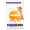 IAMS Cat Kitten Ocean Fish granule 2 kg