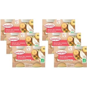 Babybio Petits Pots Délice des vergers de nos régions 6+ Mois (2x130g) 260 g Lot de 6 - Publicité