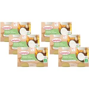 Babybio Végétal au Lait de Coco Petits Pots Brassé Mangue Ananas 2x130g 6 Mois PACK de 6 BIO - Publicité