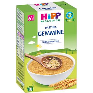 Hipp Biologico Pastina Gemmine 320 G