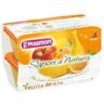 Plasmon Sapori Di Natura Omogeneizzato Frutta Mista 4x100 Gr