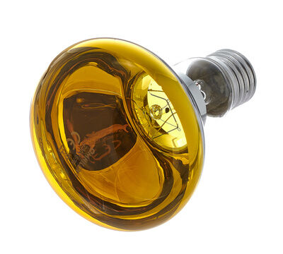 Omnilux R80 Lamp E27 Yellow Yellow