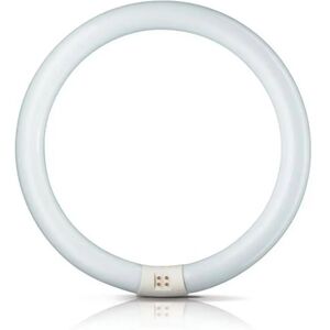 Philips G10q 22W 840 Leuchtstoffring Master Circular TL-E