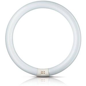 Philips G10q 32W 865 Leuchtstoffring Master Circular TL-E